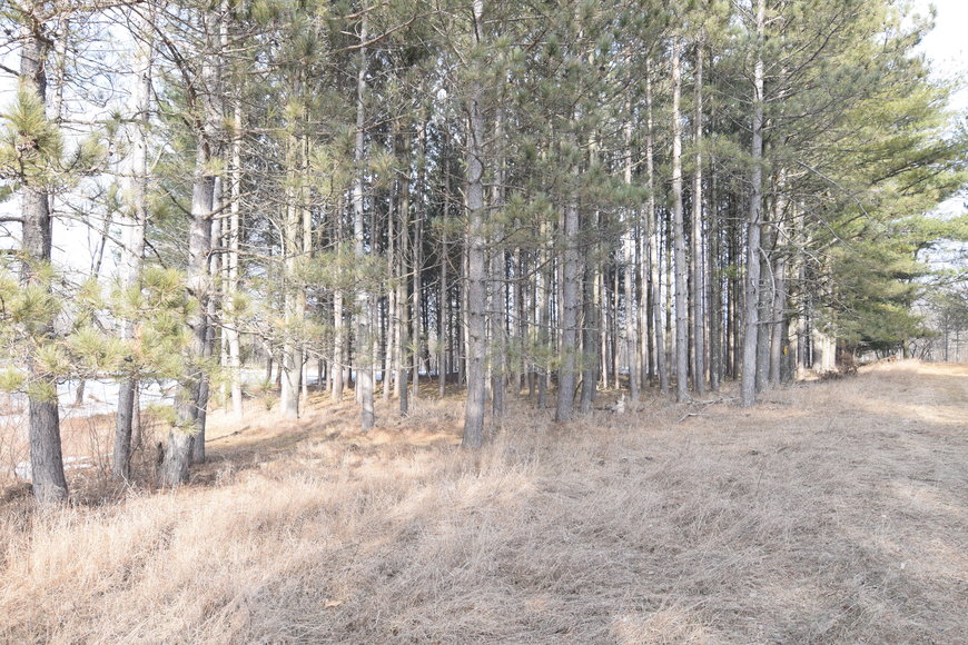 Image for Approximately 160 acres on Nature Rd, Section 15 Town of Matteson, Waupaca County.
