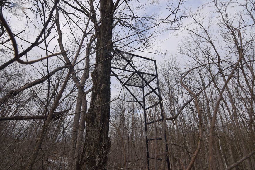 Image for Approximately 160 acres on Nature Rd, Section 15 Town of Matteson, Waupaca County.