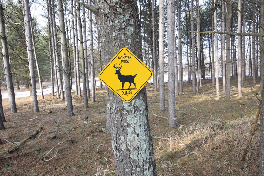 Image for Approximately 160 acres on Nature Rd, Section 15 Town of Matteson, Waupaca County.