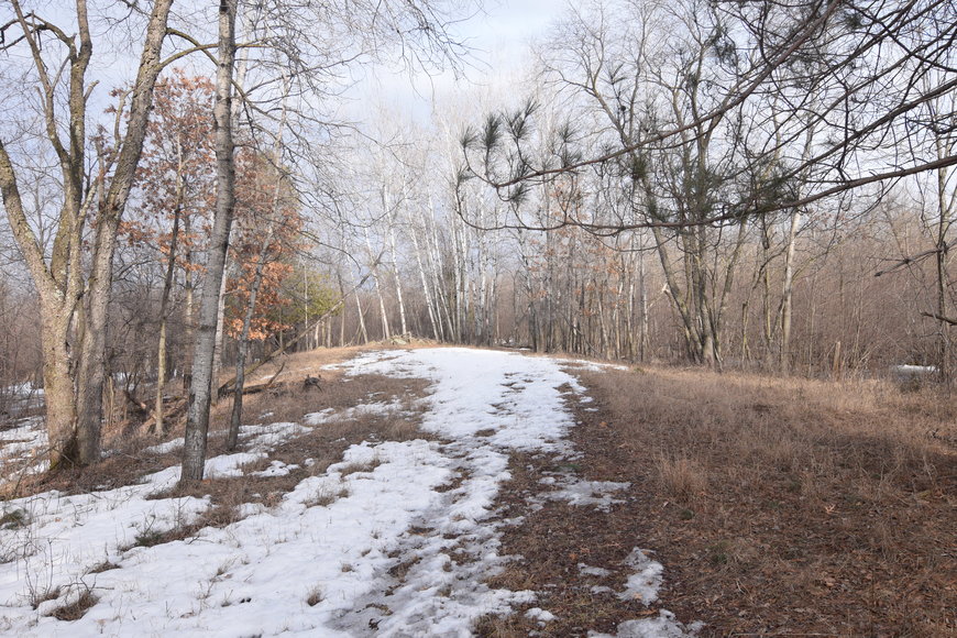 Image for Approximately 160 acres on Nature Rd, Section 15 Town of Matteson, Waupaca County.