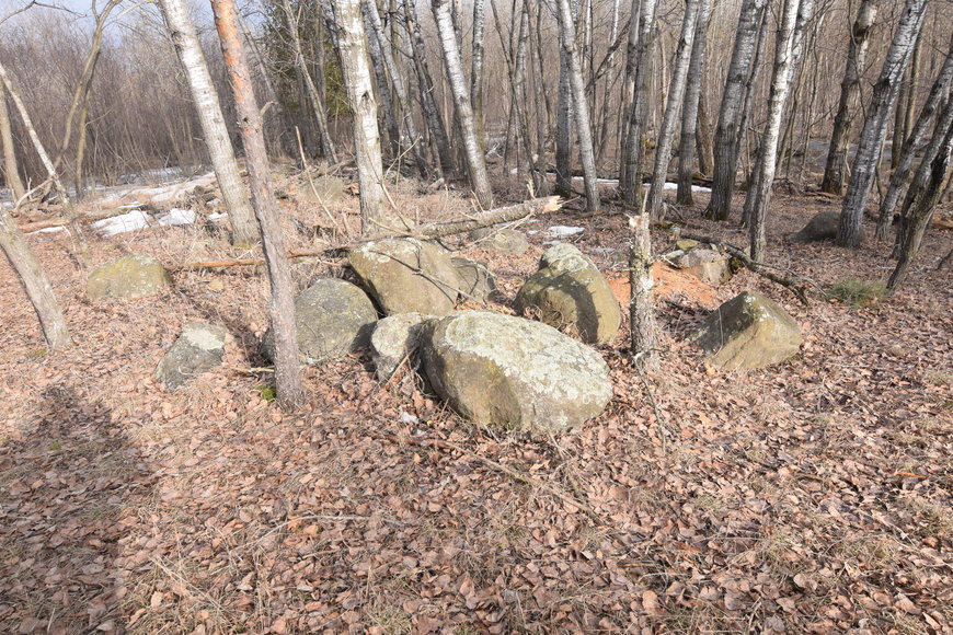 Image for Approximately 160 acres on Nature Rd, Section 15 Town of Matteson, Waupaca County.