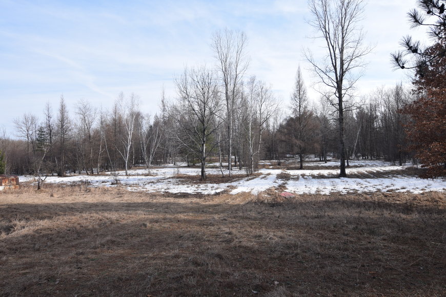 Image for Approximately 160 acres on Nature Rd, Section 15 Town of Matteson, Waupaca County.