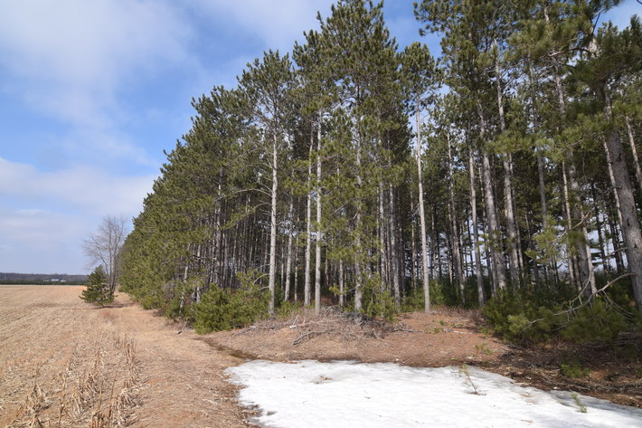 Image for 24+ ACRES WOODED/BUILDABLE LAND w/CABIN - TOWN OF MAINE, OUTAGAMIE COUNTY