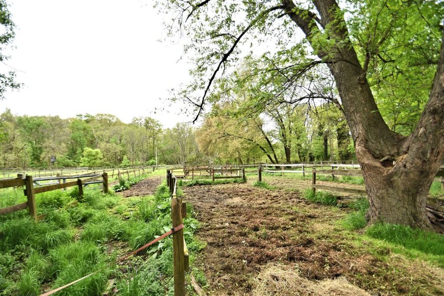 Image for Real Estate Auction: Colmar: 5-29-19