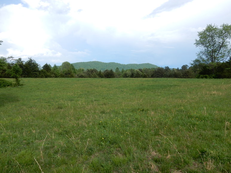 Image for 3 BR Farm House, Outbuildings & Fenced Pastures on 28.75 +/- Acres w/Scenic Mountain Views in Greene County, VA