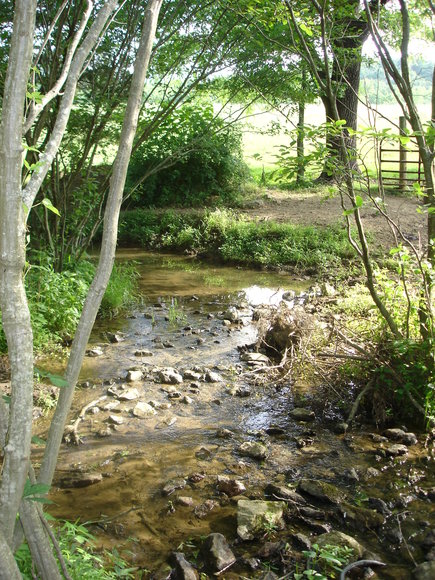 Image for 3 BR Farm House, Outbuildings & Fenced Pastures on 28.75 +/- Acres w/Scenic Mountain Views in Greene County, VA
