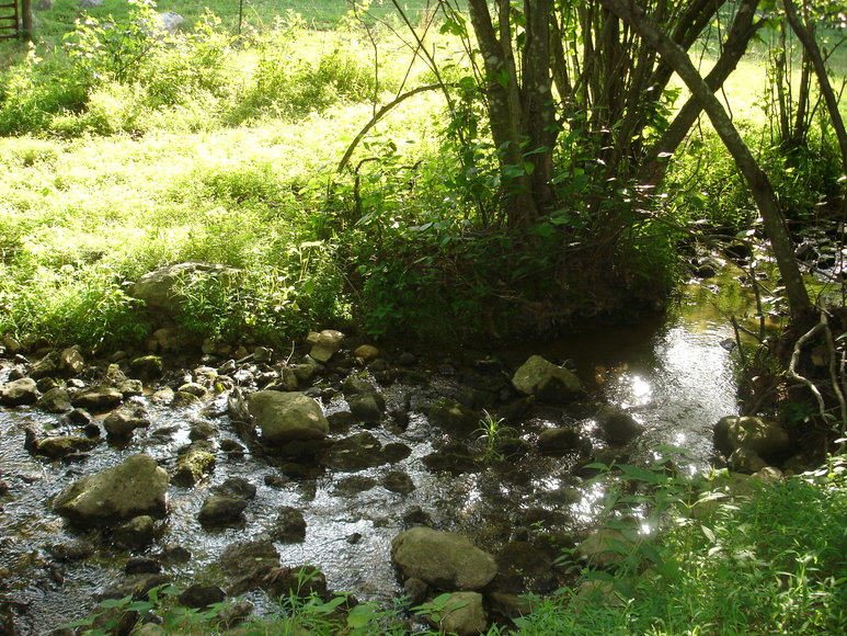 Image for 3 BR Farm House, Outbuildings & Fenced Pastures on 28.75 +/- Acres w/Scenic Mountain Views in Greene County, VA