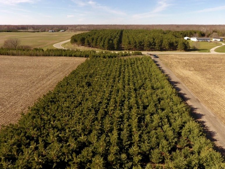 Image for 24+ ACRES WOODED/BUILDABLE LAND w/CABIN - TOWN OF MAINE, OUTAGAMIE COUNTY