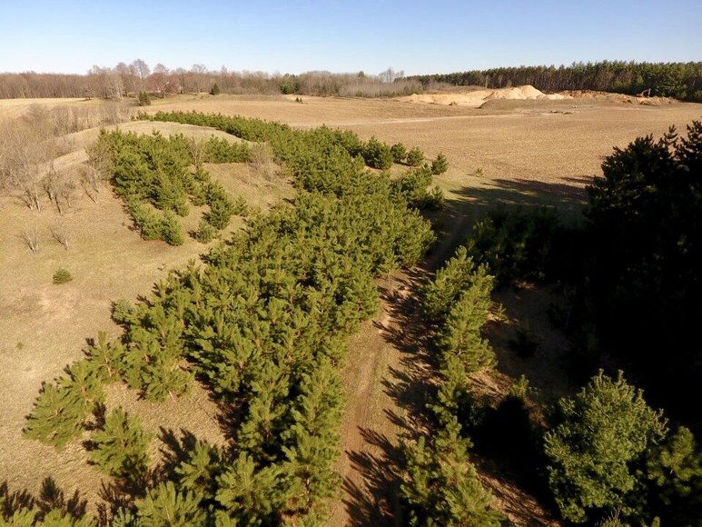 Image for 24+ ACRES WOODED/BUILDABLE LAND w/CABIN - TOWN OF MAINE, OUTAGAMIE COUNTY