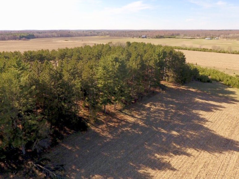 Image for 24+ ACRES WOODED/BUILDABLE LAND w/CABIN - TOWN OF MAINE, OUTAGAMIE COUNTY