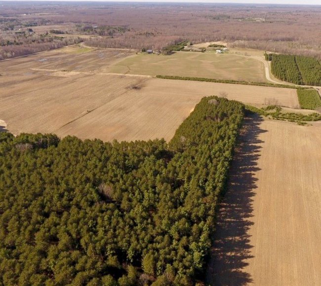 Image for 24+ ACRES WOODED/BUILDABLE LAND w/CABIN - TOWN OF MAINE, OUTAGAMIE COUNTY