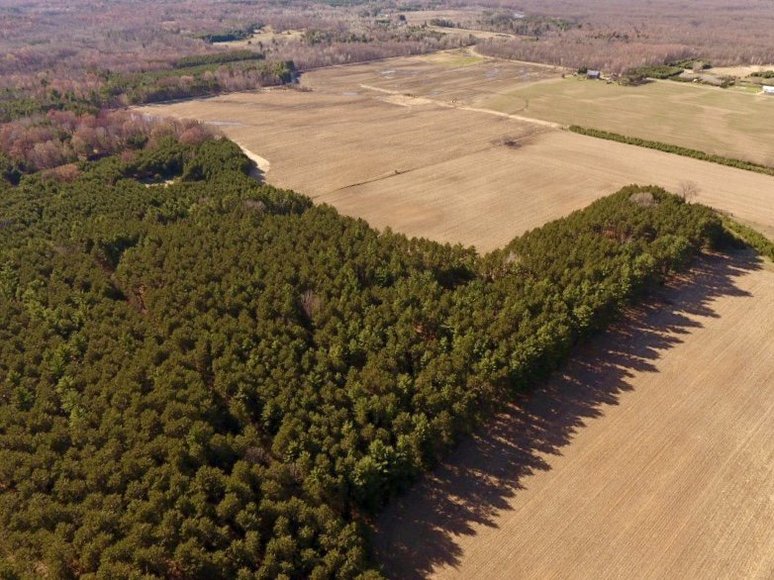 Image for 24+ ACRES WOODED/BUILDABLE LAND w/CABIN - TOWN OF MAINE, OUTAGAMIE COUNTY