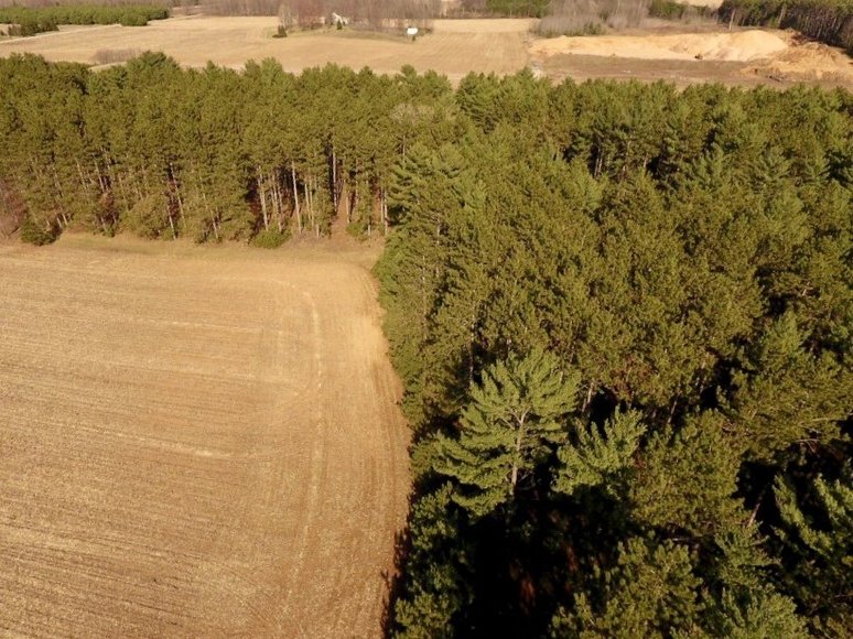 Image for 24+ ACRES WOODED/BUILDABLE LAND w/CABIN - TOWN OF MAINE, OUTAGAMIE COUNTY