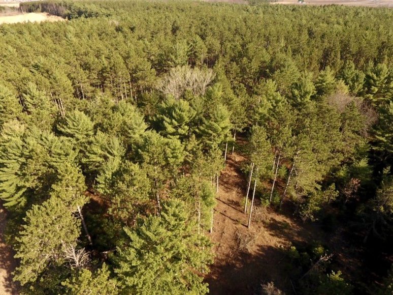 Image for 24+ ACRES WOODED/BUILDABLE LAND w/CABIN - TOWN OF MAINE, OUTAGAMIE COUNTY