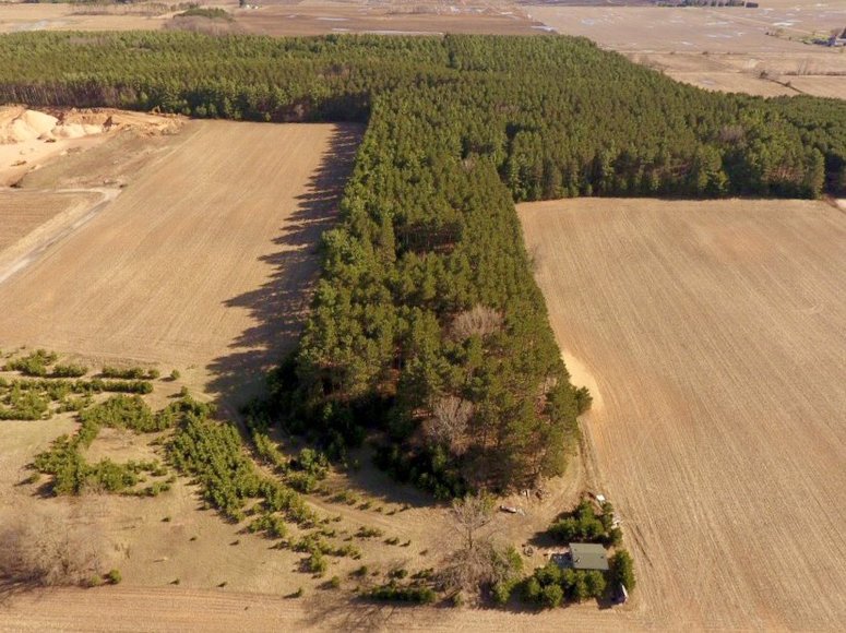 Image for 24+ ACRES WOODED/BUILDABLE LAND w/CABIN - TOWN OF MAINE, OUTAGAMIE COUNTY