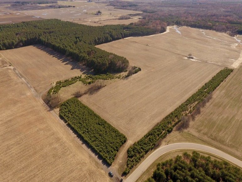 Image for 24+ ACRES WOODED/BUILDABLE LAND w/CABIN - TOWN OF MAINE, OUTAGAMIE COUNTY