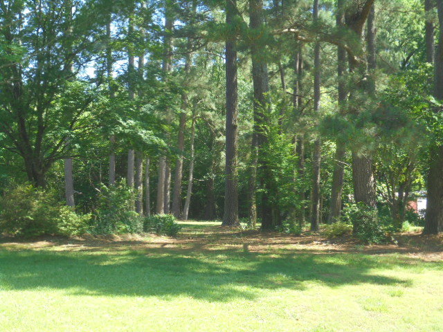 Image for REAL ESTATE AUCTION & PERSONAL PROPERTY