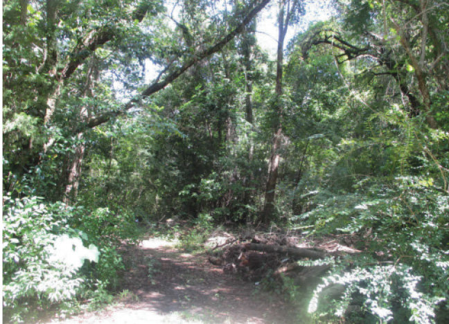 Image for ON LINE AUCTION - Mobile, AL