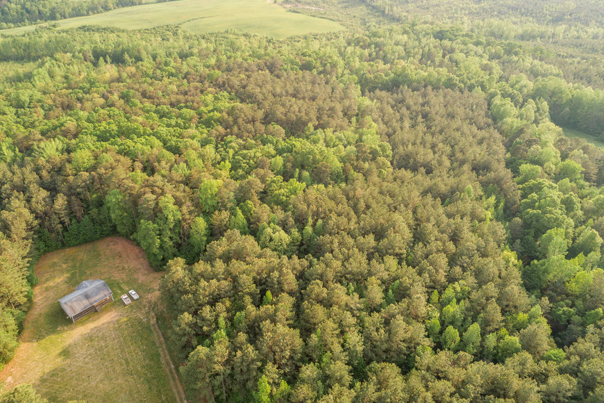 Image for 3 BR/2 BA Home on 72.5 +/- Acres (60+ Acres is Timber) in Lunenburg County, VA--Sells to the Highest Bidder!!