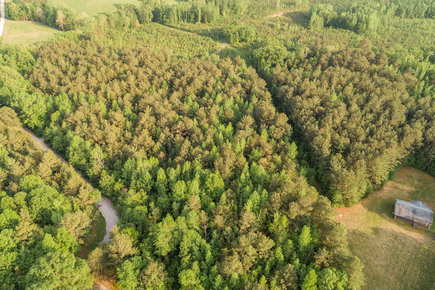 Image for 3 BR/2 BA Home on 72.5 +/- Acres (60+ Acres is Timber) in Lunenburg County, VA--Sells to the Highest Bidder!!