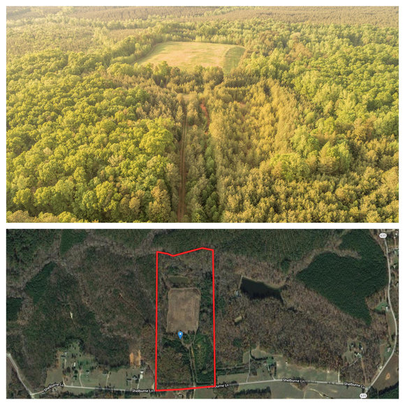 Image for 49.7 +/- Acres of Timber Land in Lunenburg County, VA--Selling to the Highest Bidder!!