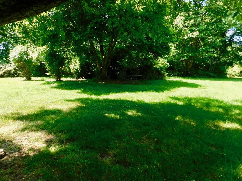 Image for Charming 3 BR/1 BA Home on 2 +/- Gorgeous Acres....Only 15 Miles from Charlottesville  & Close to Wineries!!