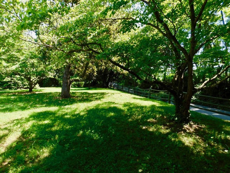 Image for Charming 3 BR/1 BA Home on 2 +/- Gorgeous Acres....Only 15 Miles from Charlottesville  & Close to Wineries!!