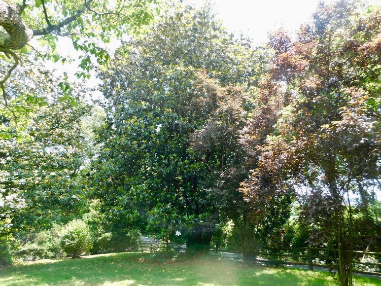 Image for Charming 3 BR/1 BA Home on 2 +/- Gorgeous Acres....Only 15 Miles from Charlottesville  & Close to Wineries!!