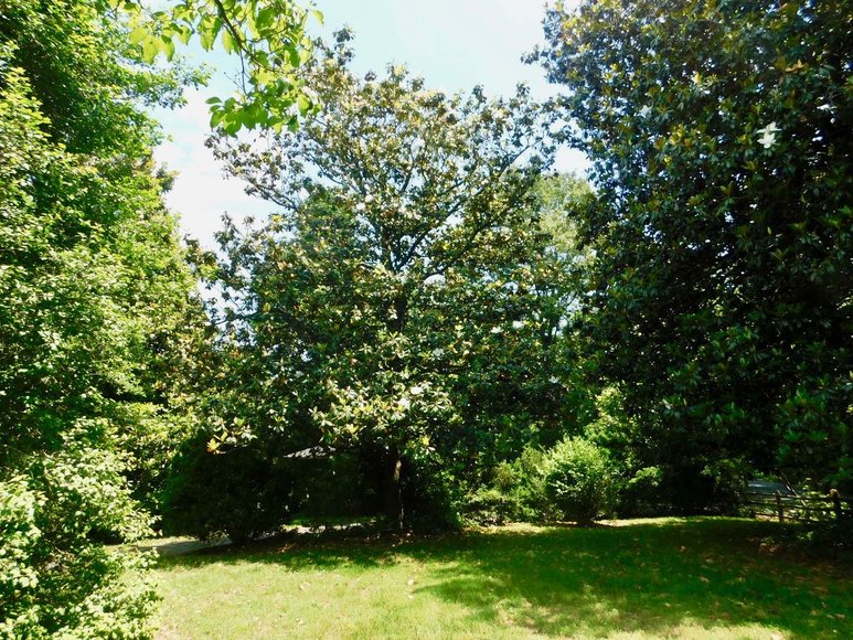 Image for Charming 3 BR/1 BA Home on 2 +/- Gorgeous Acres....Only 15 Miles from Charlottesville  & Close to Wineries!!