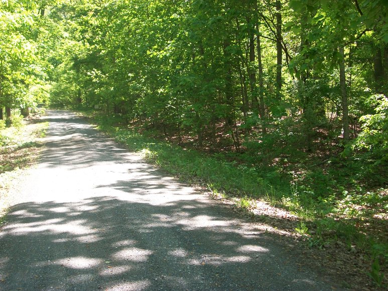 Image for Absolute Land Auction: Oak Hill Park Subdivision (Clarksville, VA)