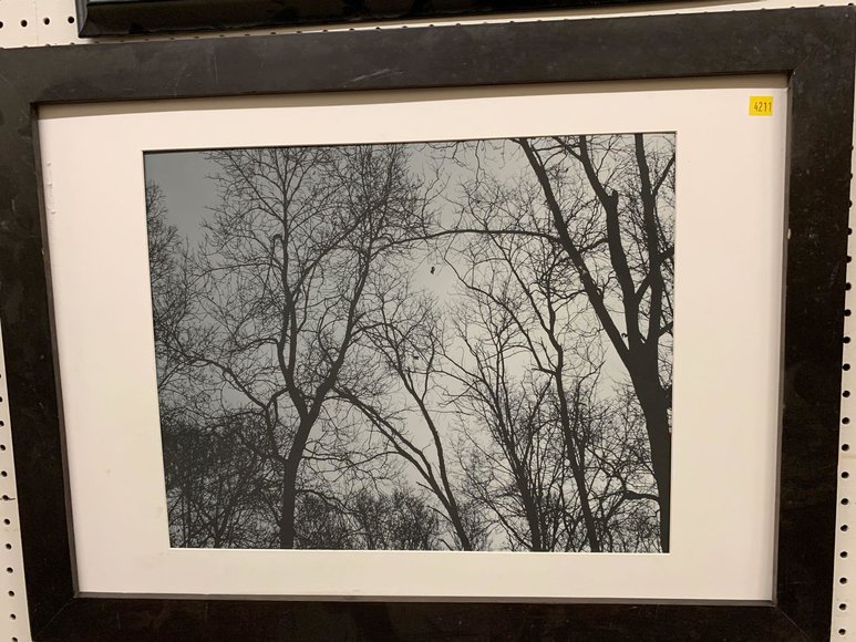 Image for Discovery Art Auction: 6-5-19