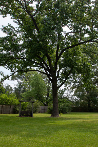 Image for 2752 Juneway Drive, Bartlett, TN Real Estate Auction