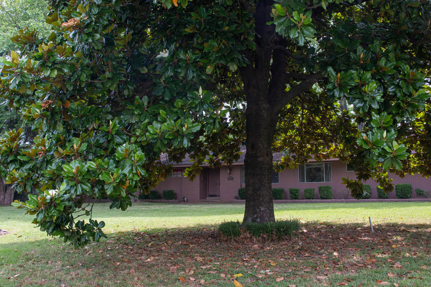 Image for 2752 Juneway Drive, Bartlett, TN Real Estate Auction