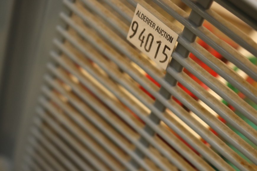 Image for Gallery Auction with Toys and Trucks Part 2: 6-13-19