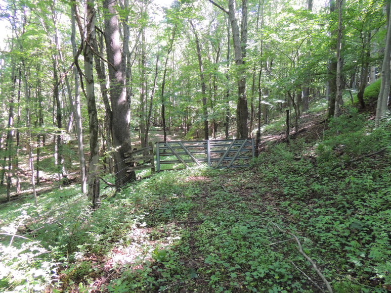 24 Acres of Recreational Land with Potential Home Sites