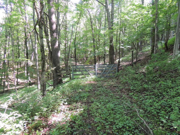 Image for 24 Acres of Recreational Land with Potential Home Sites