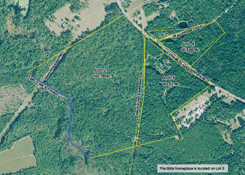 Image for Court Ordered Auction - Treutlen County, GA