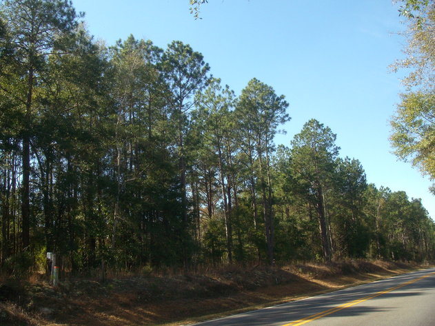 Image for Court Ordered Auction - Treutlen County, GA