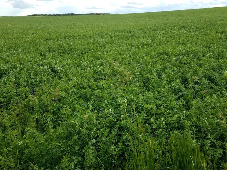 Image for ROSEBUD COUNTY, MONTANA - HUNTING PROPERTY