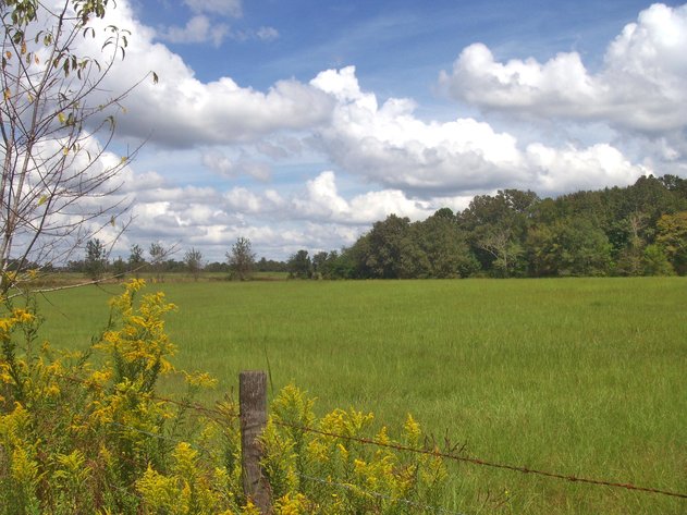 Image for LIVE AUCTION - Thursday, November 1st @ 7:00 P.M.