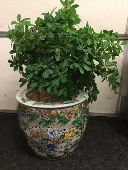 Image for Gallery Auction with Books, Postcards and Ephemera