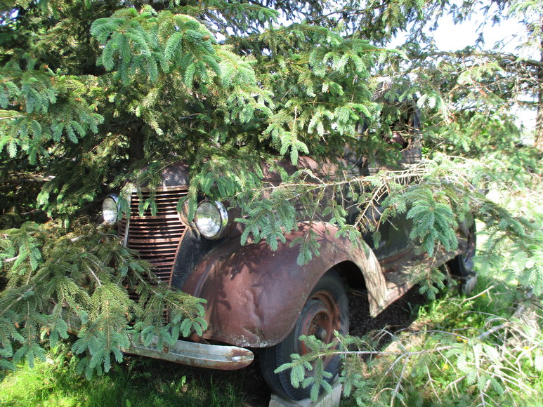 Image for John & Dorothy Nelson Personal Property