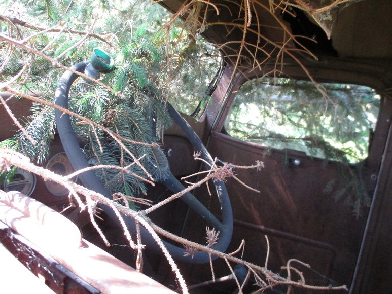 Image for John & Dorothy Nelson Personal Property