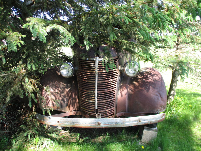 Image for John & Dorothy Nelson Personal Property