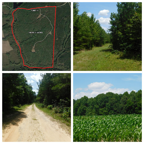 Image for 140 +/- Wooded Acres in Caroline County, VA...a Sportsman's Dream!!  ONLINE ONLY BIDDING!!