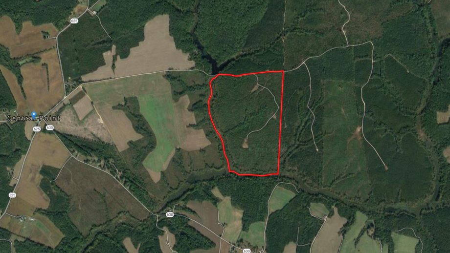 Image for 140 +/- Wooded Acres in Caroline County, VA...a Sportsman's Dream!!  ONLINE ONLY BIDDING!!