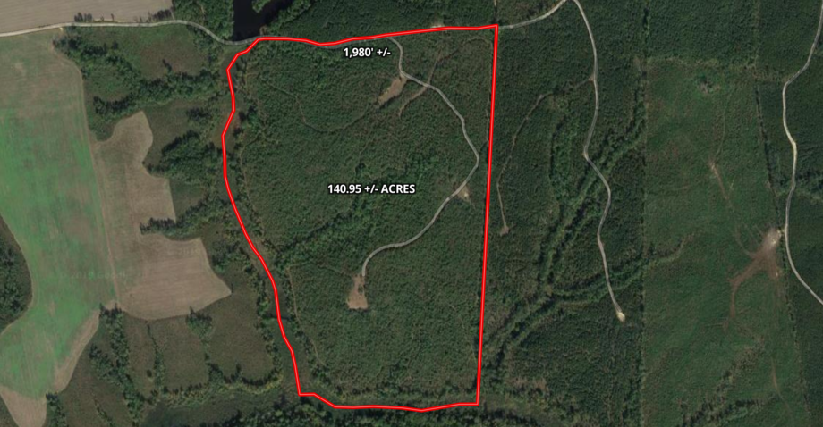 Image for 140 +/- Wooded Acres in Caroline County, VA...a Sportsman's Dream!!  ONLINE ONLY BIDDING!!
