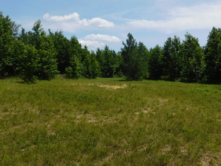 Image for 140 +/- Wooded Acres in Caroline County, VA...a Sportsman's Dream!!  ONLINE ONLY BIDDING!!