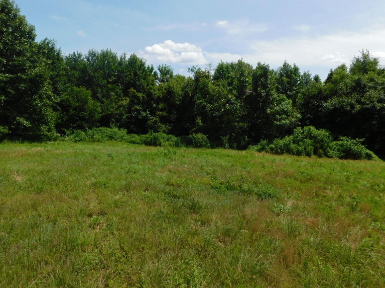Image for 140 +/- Wooded Acres in Caroline County, VA...a Sportsman's Dream!!  ONLINE ONLY BIDDING!!