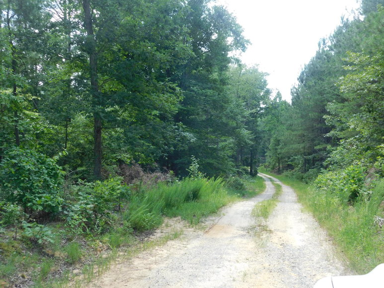 Image for 140 +/- Wooded Acres in Caroline County, VA...a Sportsman's Dream!!  ONLINE ONLY BIDDING!!